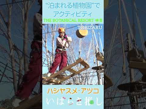 【番外編】いばらき推し「THE BOTANICAL RESORT 林音 ～泊まれる植物園の絶品グルメとアクティビティ～（那珂市）」#shorts