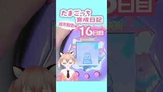 【#たまごっち】そらキッズに進化！次に狙うのは…！？ #tamagotchi #Vtuber #shorts