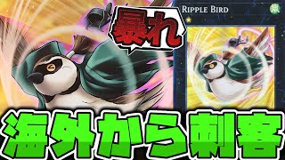 【遊戯王】 全てのシナジーに恵まれた海外先行の鳥 『Ripple Bird』 【ゆっくり解説】