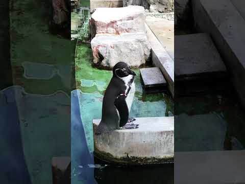 姫路市立水族館 #3shotsaquarium