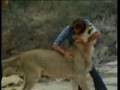 Friendship of A Lion