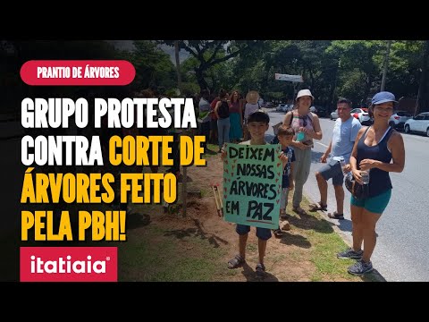 GRUPO PLANTA ÁRVORES NO ENTORNO DO MINEIRÃO EM PROTESTO CONTRA CORTES DA PBH PARA STOCK CAR