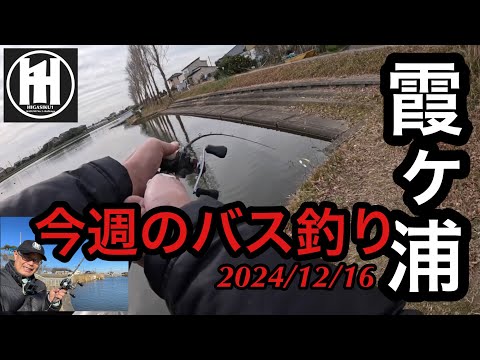 バス釣り今週の霞ヶ浦！2024年12月16日