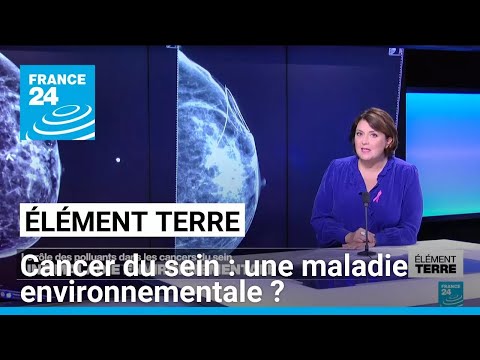 Les cancers du sein: la faute aux polluants • FRANCE 24