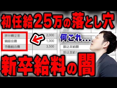 【閲覧注意】初任給25万の「給与明細」を公開!これが日本社会の「手取りの闇」です【独身税】