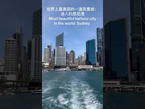 周末悉尼好去处Take a ferry from Circular Quay to Watson Bay#Where to go# SydneyWeekend#beautifulview#Aussie