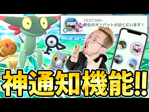 神アプデ！ニアバイのレーダー機能が凄すぎる！便利すぎる！！神すぎる！！！【ポケモンGO】