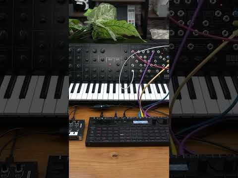 KORG MS20 Mini, SQ64, & NTS-1 All-Play