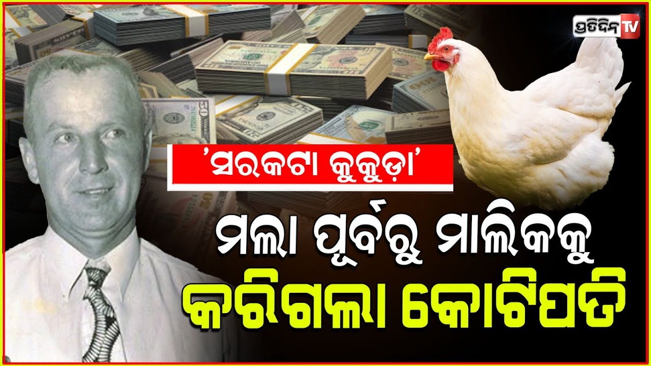 ମୁଣ୍ଡ ବିନା କୁକୁଡ଼ା ବଞ୍ଚିଲା ଦେଢ ବର୍ଷ,ମାଲିକକୁ କରିଦେଲା କୋଟିପତି !viral chicken survived for without head