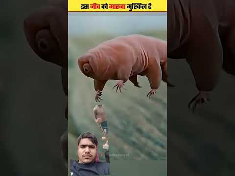 इस जीव को मारन मुश्किल है 😮 #facts #knowledge #amazingfacts #animals #science #shortsvideo