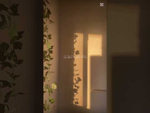 والله يحب الصابرين #قرآن #اجر_لي_ولك # المصحف الكريم ياسر -الدوسري💗