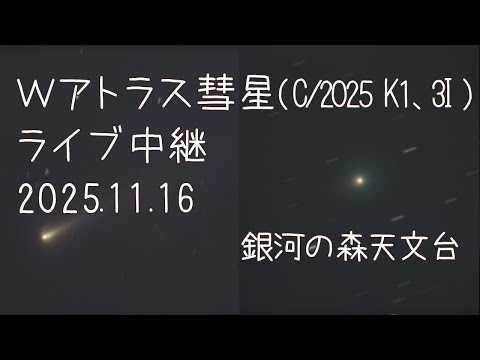 Wアトラス彗星 ライブ中継 2025.11.16 |銀河の森天文台
