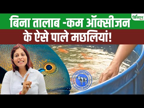 मछली पालन करें वो भी बिना तालाब के और ऑक्सीजन भी लगेगा बहुत कम, जानिए कैसे?। Fish Farming