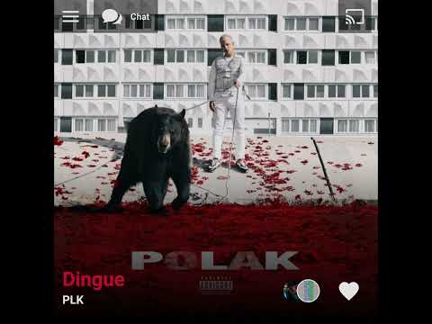 PLK - Dingue ( Version Skyrock )