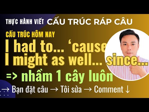 I had to... because... / I might as well... since... | Cặp cấu trúc nói tiếng Anh có lý do tự nhiên