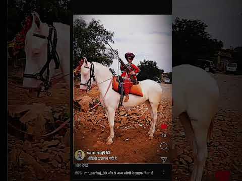 Attitude like please #song #newsong #sorts