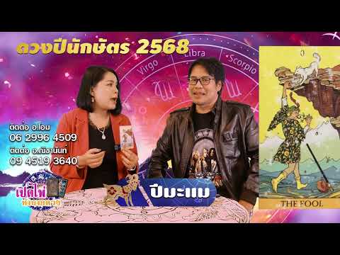 เปิดไพ่ทำนายดวง|ปีมะแม|ดูด