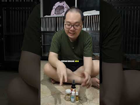 review meowing bundling elope keperluan kucing