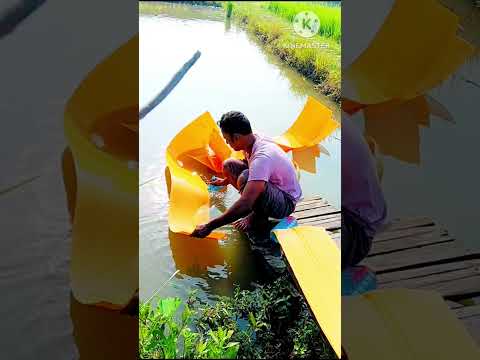 🛖ফার্মের সবকিছু ক্লিনিং করছি 🌿#shorts#shortvideo#shortsfeed#farming #chicken #pets #birds #poultry