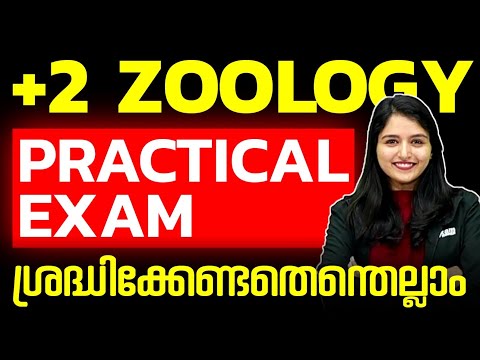 Plus Two Zoology Lab Practical | Zoology  Lab Exam ശ്രദ്ധിക്കേണ്ടതെന്തെല്ലാം  | Exam Einner