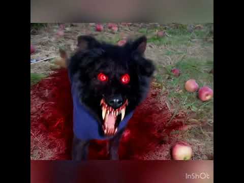 DOG WITH APPLE AMAZING APPLE DOG CORE #appledog #dogmemes #ai #memes #aicompetition #minimaxai