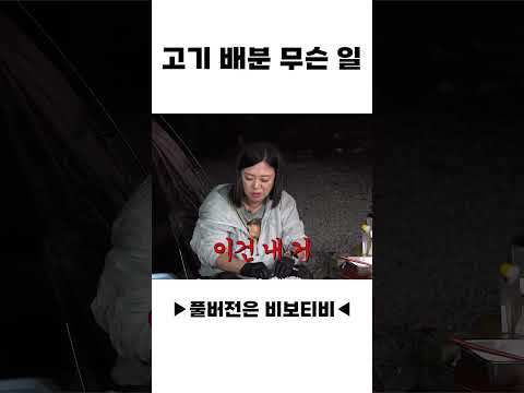 고기 배분 무슨 일