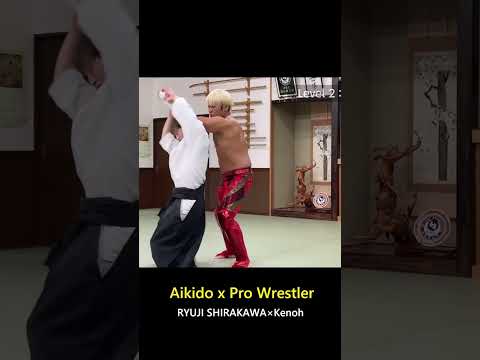 What happens when a professional wrestler receives a dangerous Aikido throw?