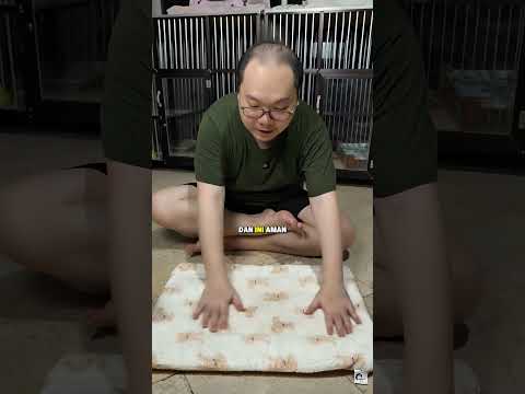 review alas selimut kucing Pawsitive Vibes