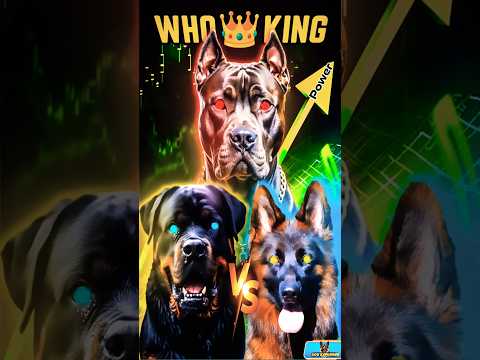 Tiger vs Dog Fight🐕🔥Pitbull vs Rottweiler vs GSD |Who's the Real King?#shorts