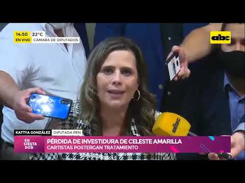 Pérdida de investidura de Celeste Amarilla, oposición apoya totalmente a la diputada liberal