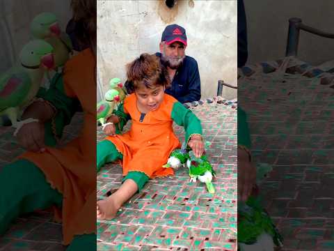 ​Cute Baby Aliza Kissing Her Parrot