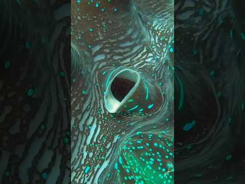 Guess What This Hole Belongs To