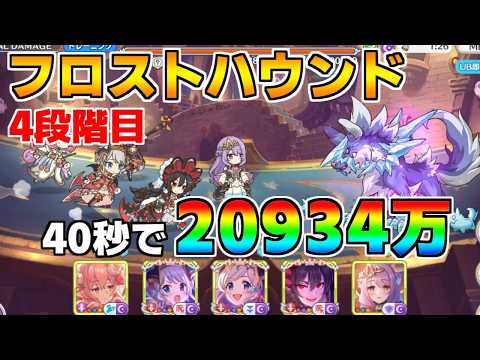 【プリコネR】4段階目 フロストハウンド 20934万 40s持ち越し編成【3月クランバトル】【クラバト】