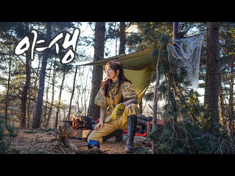 -4℃ 산 속 투명벽 대피소에서 보내는 하룻밤 / 솔로캠핑 / 부쉬크래프트 / 직화🔥고등어김치찜과 솥밥 그리고, 막걸리 / 주전자 어묵탕 / 야생캠핑