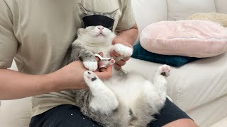 動画サムネイル
