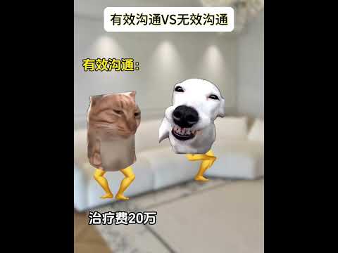 猫の動画サムネイル - 有效沟通VS无效沟通区别有多大#有趣 #猫meme #猫meme剧场 #猫meme小剧场 #内容过于真实  #故事 #貓 #猫猫meme小剧场 #喵不可言