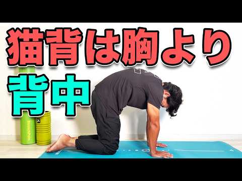 【猫背改善】胸を伸ばす前に背中を動かす！3分ストレッチ