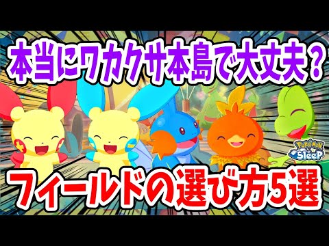 2周年記念フェスティバルまでにやるべきこと、フィールドの選び方を徹底解説【ポケモンスリープ】