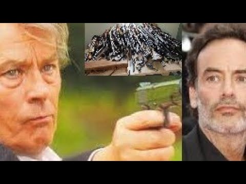 Alain Delon retranché à Douchy : la gendarmerie intervient et saisit 50 armes