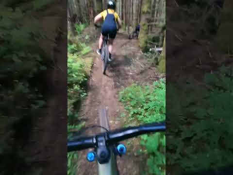 Trail Feature | Washington- Ferdinand the Bull #mtb #mountainbike #washington #pnw #sneekpeek