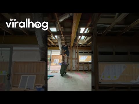 Brilliant Thinking for When You Forget Your Ladder || ViralHog