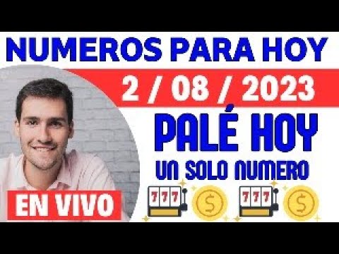 HOY MIERCOLES 2 DE AGOSTO 2023 ... NUMEROS PARA TODAS LAS LOTERIAS 2/08/23