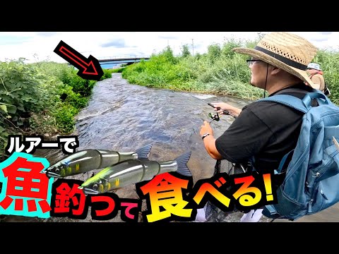 最新鮎ルアーを使って鮎を釣って食べる！