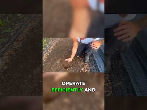 From Arugula to Lettuce: Our Bed Prep Process!