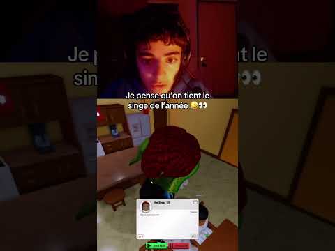 Twitch : Heikiro (22h) #singe #drole #humour #twitch #clips #mdr #humoristefrancais #heikiro