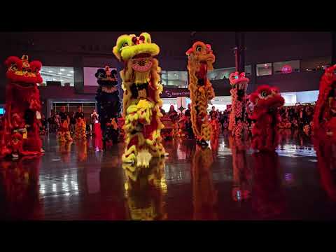 Going to the MOON! Lunar New Year Lion Dance Performance at NASA Space Center Rising Dragon Team