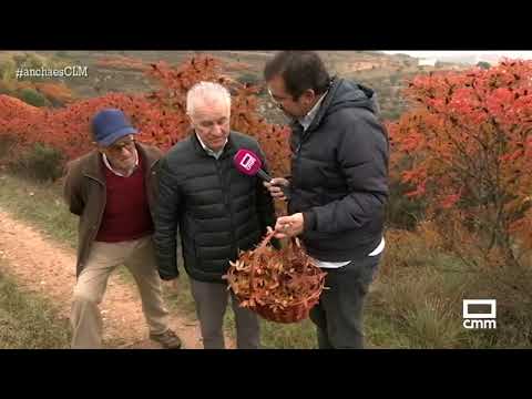 Conocemos el zumaque en Brihuega | Ancha es Castilla-La Mancha