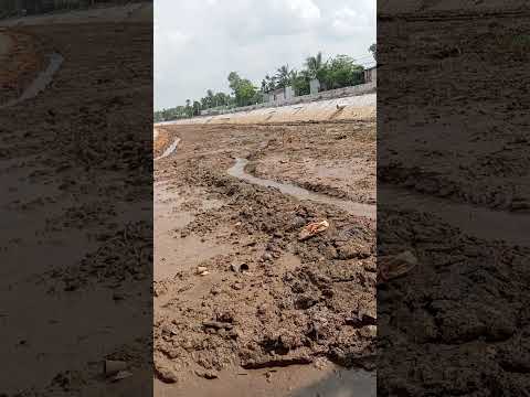 nay quá nắng trốn luôn