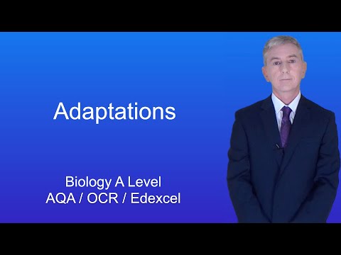 A Level Biology Revision “Adaptations”