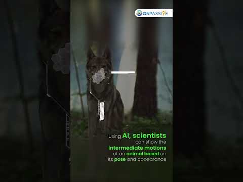 AI can reconstruct motion sequences of humans and animals AI can reconstruct motion sequences of humans and animals